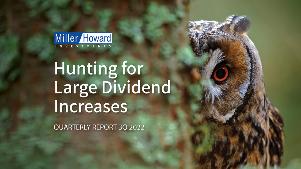 Hunting for Large Dividend Increases