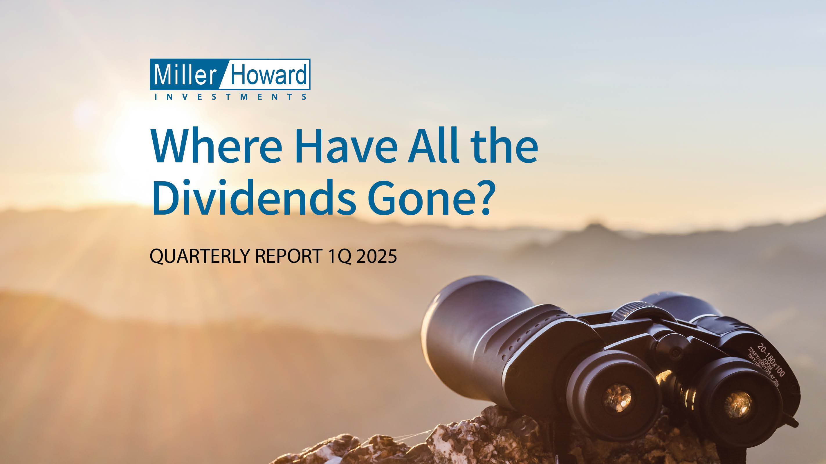 Where Have All the Dividends Gone?