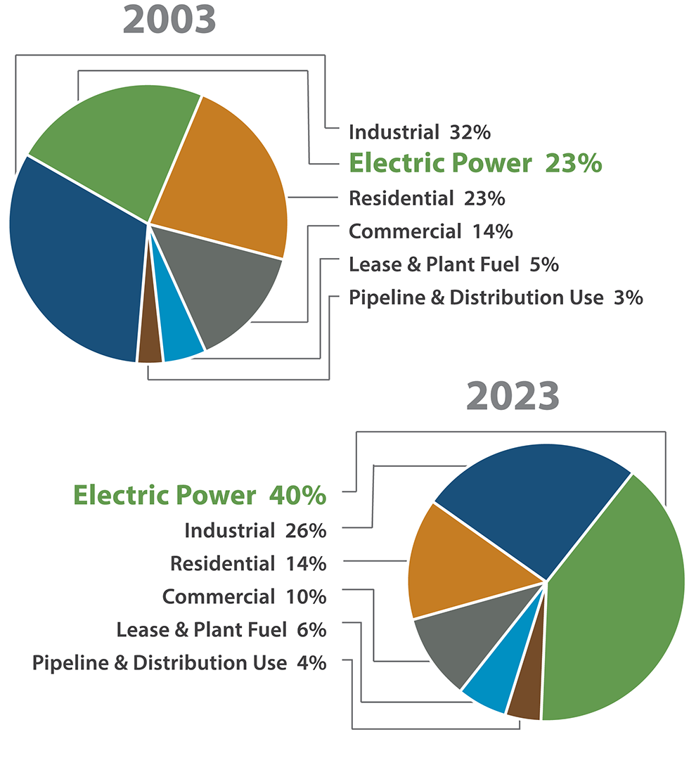 US Natural Gas Consumption by End Use
