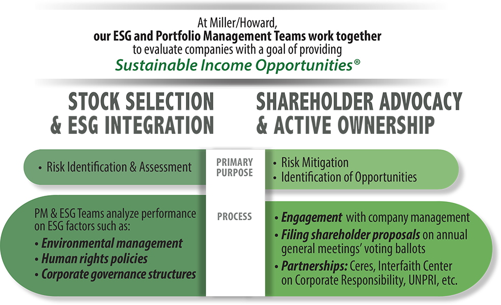 ESG Risk Identification and Mitigation