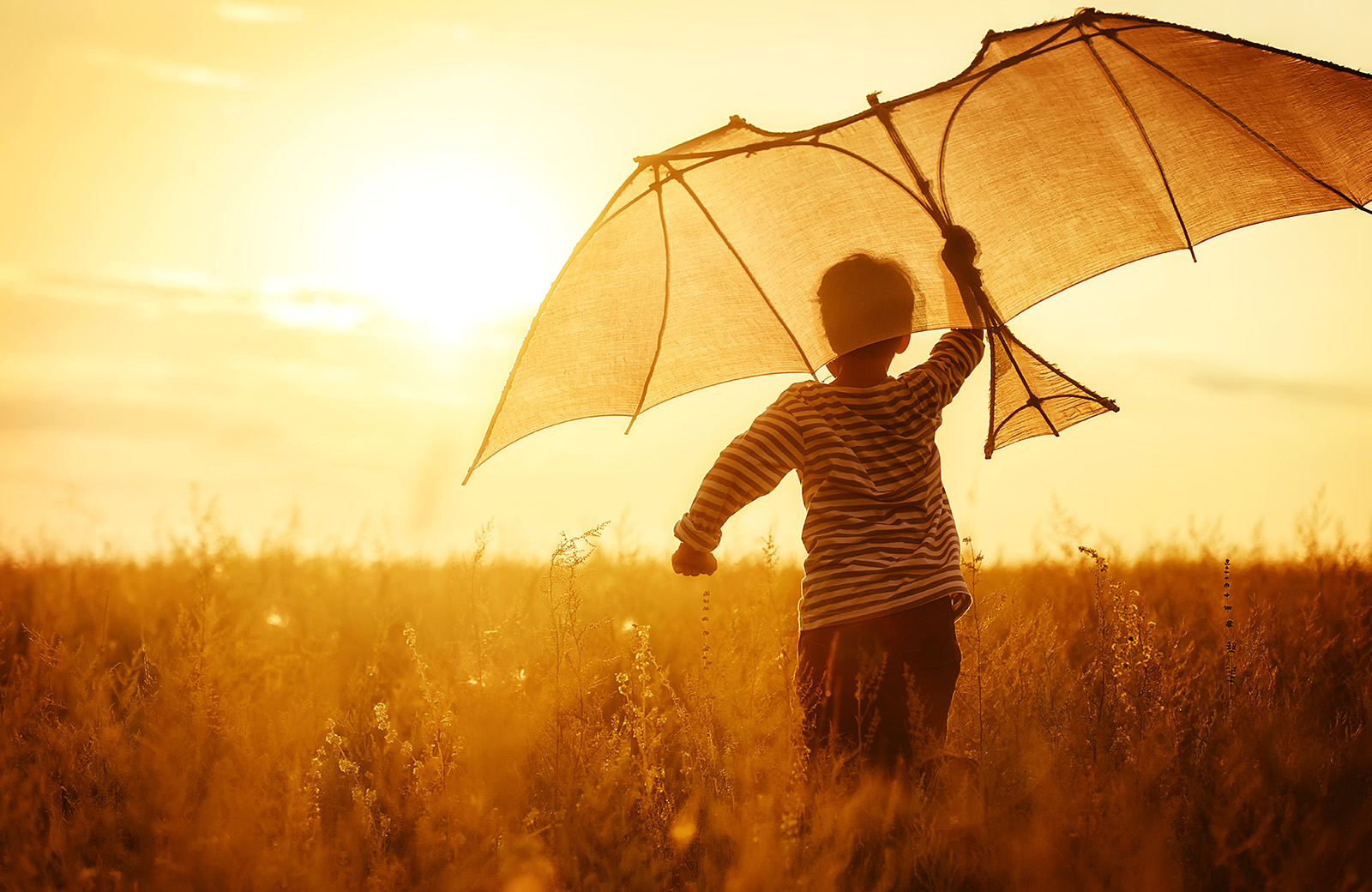 Dividend Growth: The Underappreciated Tailwind