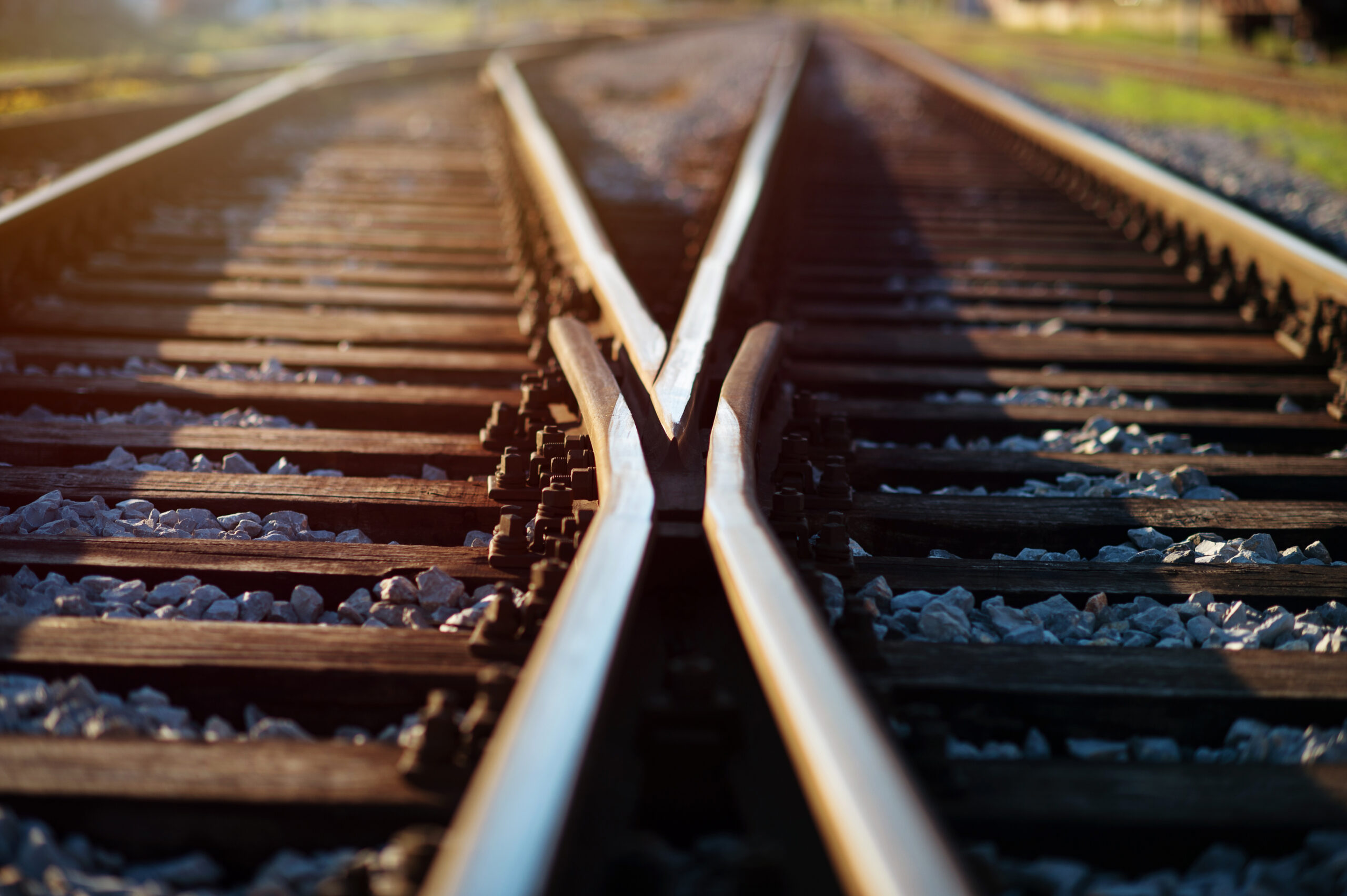 Does Dividend Investing Work with Tech Stocks?